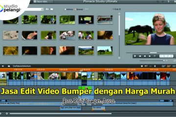 Jasa Edit Video Bumper dengan Harga Murah