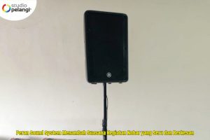 Peran Sound System Menambah Suasana Kegiatan Nobar yang Seru dan Berkesan
