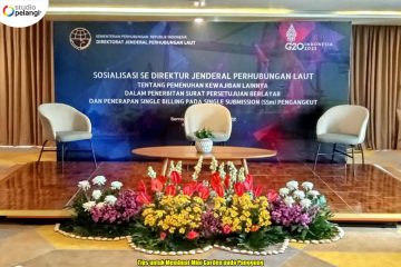 Tips untuk Membuat Mini Garden pada Panggung